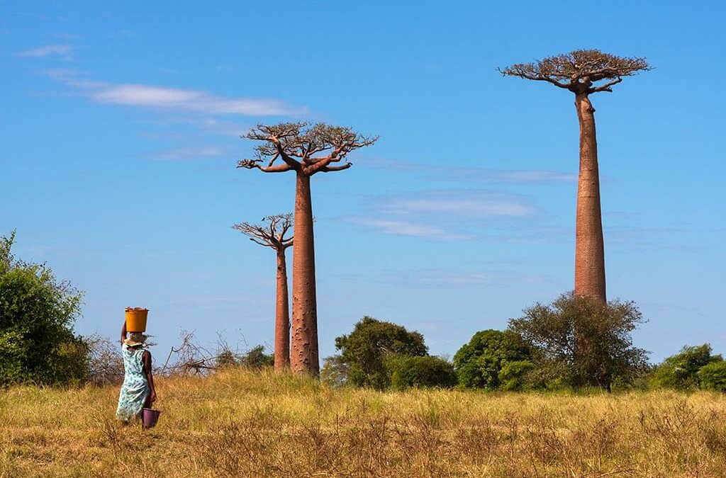 Der zauberhafte Osten Afrikas