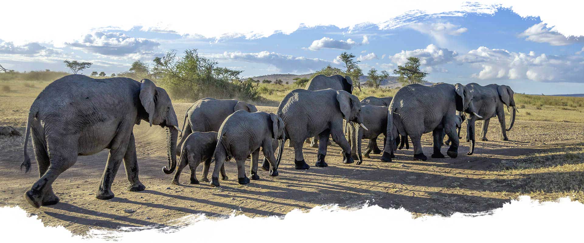 Serengeti Nationalpark - Tansania