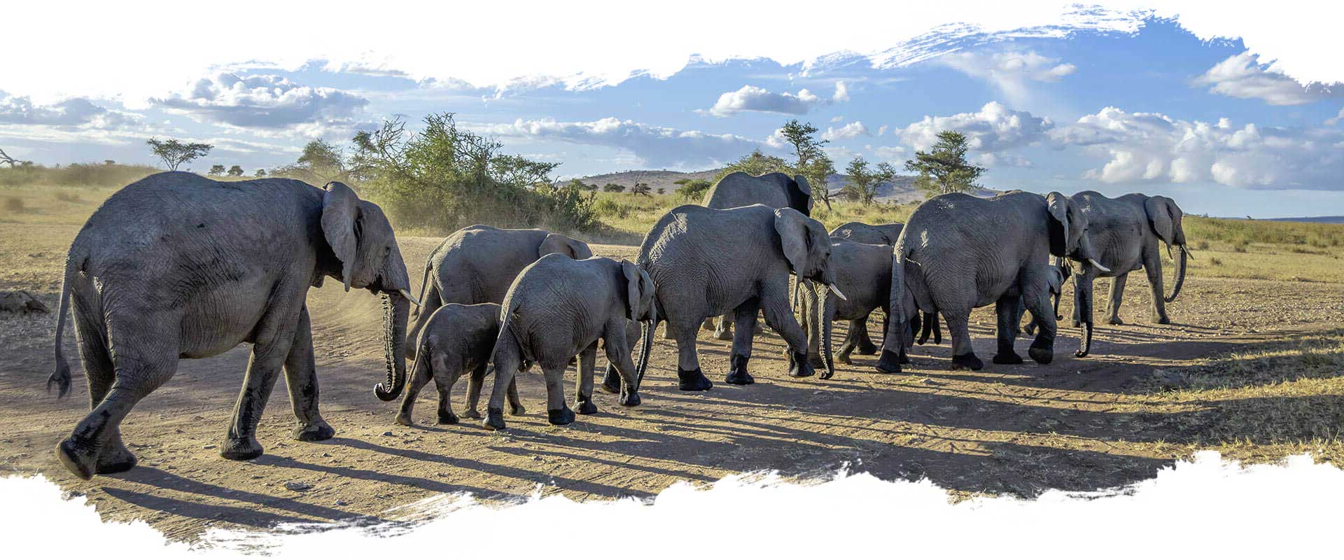 Serengeti Nationalpark - Tansania Serengeti Nationalpark - Tansania