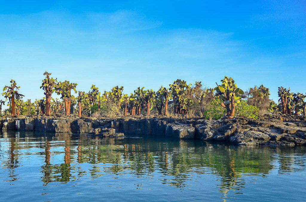 Inselhüpfen Galapagos