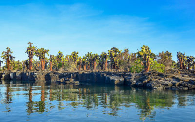 Inselhüpfen Galapagos