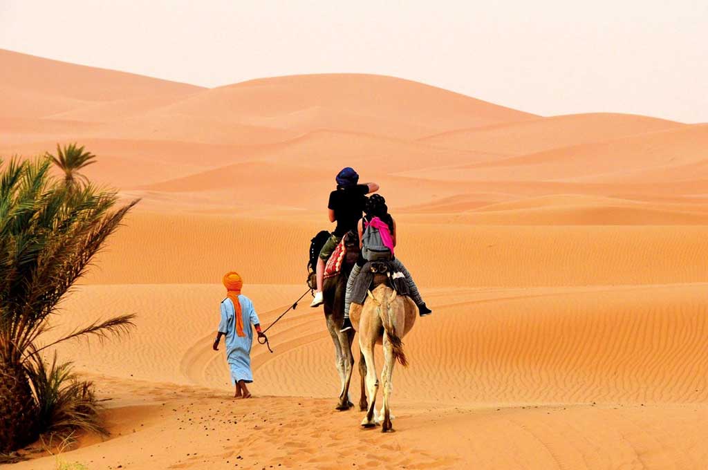 Kamel Trekking - Marokko