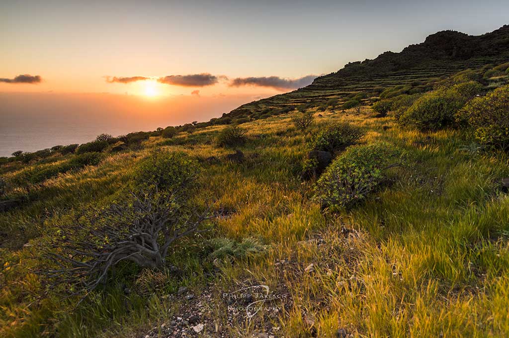 La Gomera - Kanarische Inseln - Foto: Philipp Jakesch