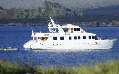 Galapagos Kreuzfahrt