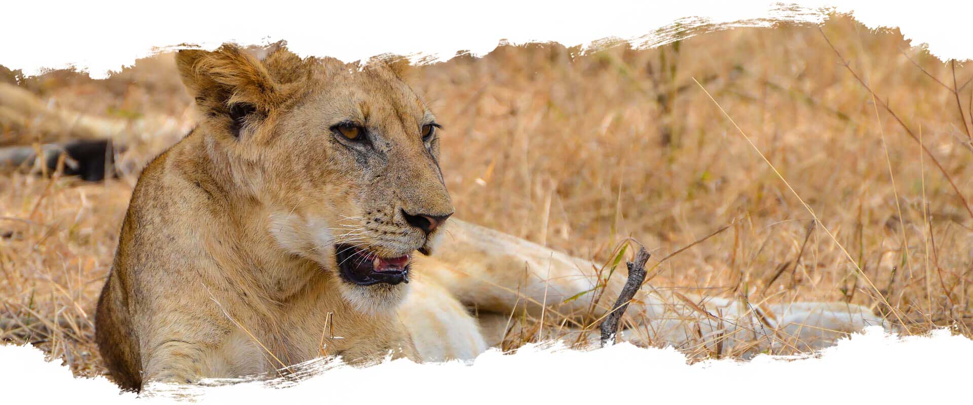 Selous Game Reserve - Tansania Selous Game Reserve - Tansania