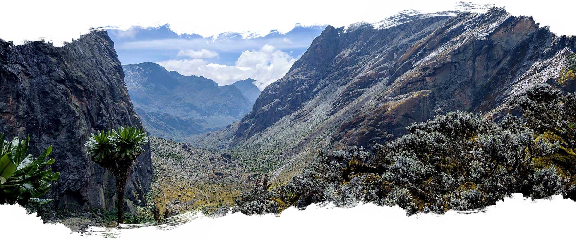 Ruwenzori Trekking - Uganda Ruwenzori Trekking - Uganda