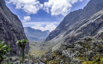 Ruwenzori Trekking – Abenteuer Pur