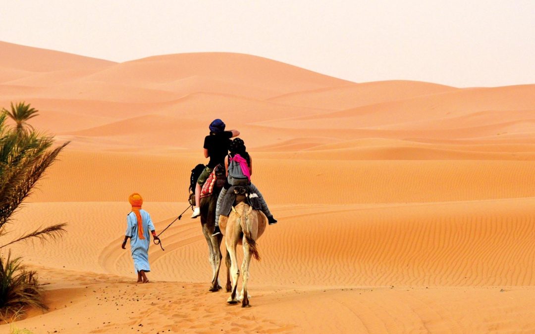Eine Reise durch die Wüste