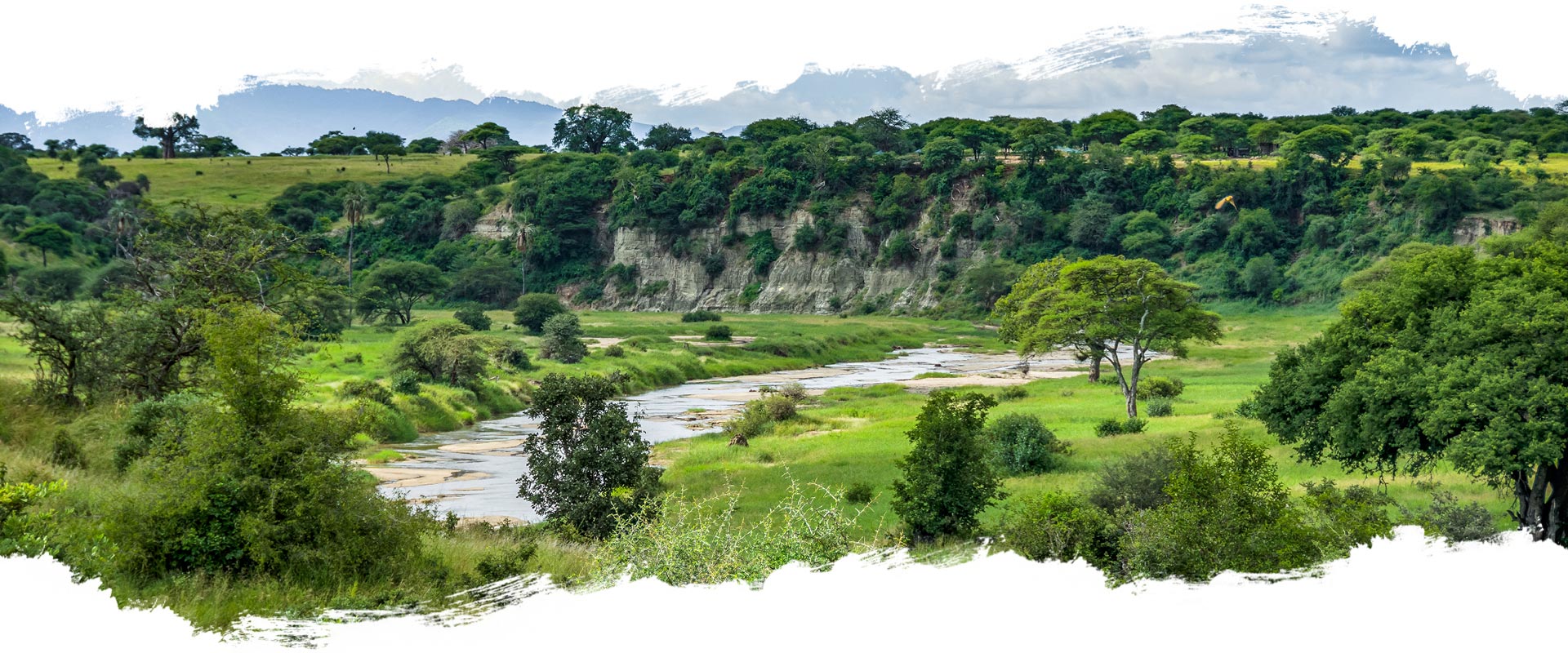 Tarangire National Park