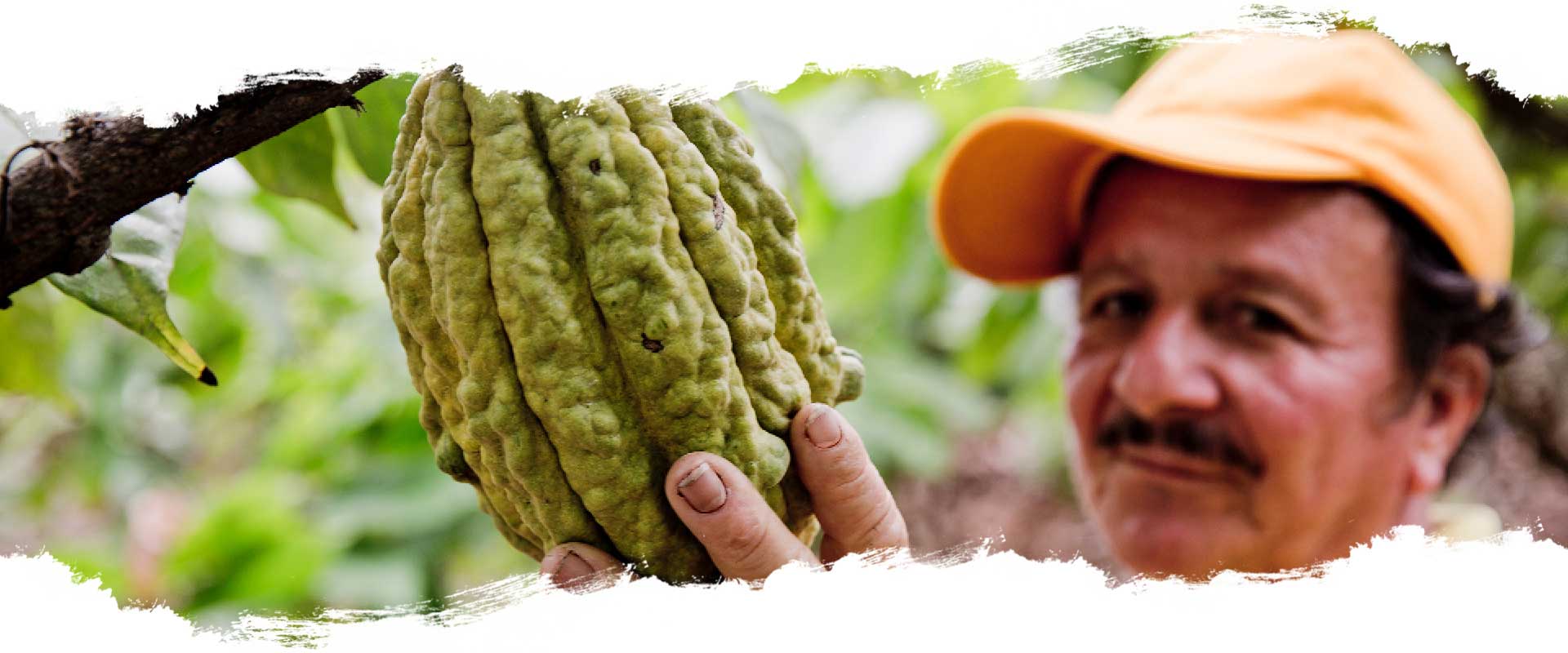 ecuador-peru-schokolade-kakao-life-earth-reisen-header Cotopaxi - Ecuador