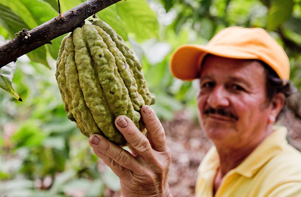 Fairtrade Kakao & Kaffee in Peru und Ecuador für Experten
