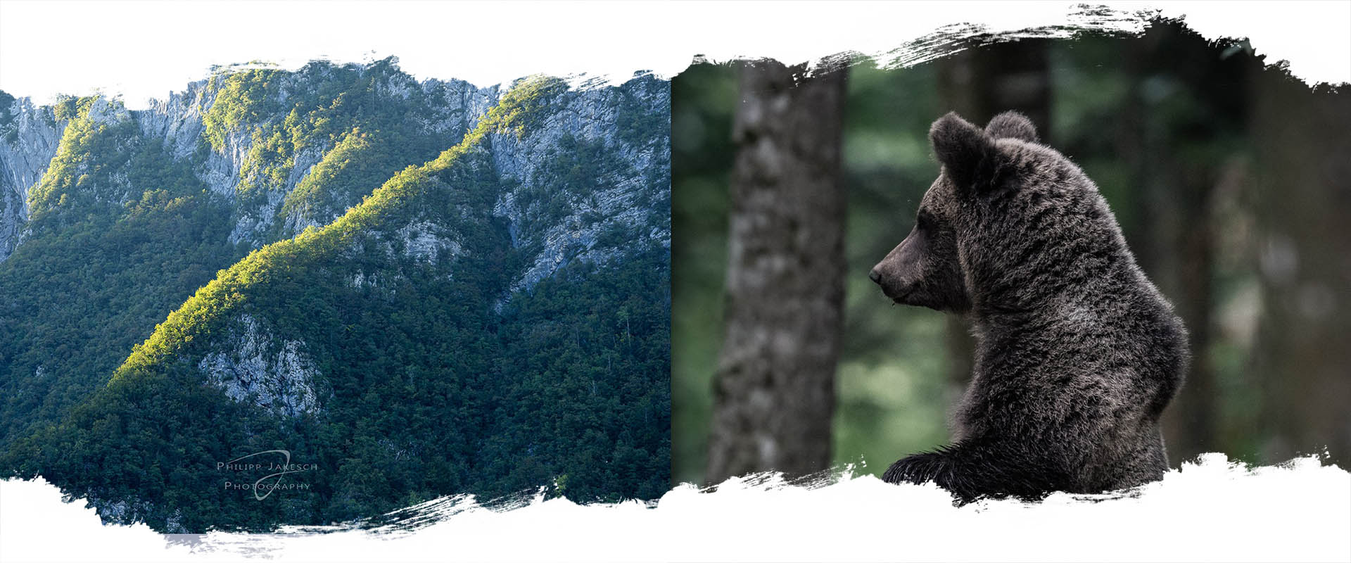 Life Earth Reisen Headerbild_slo