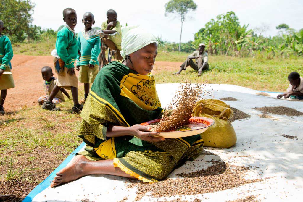kaffeereise-aethiopien-afrika-life-earth-reisen-04
