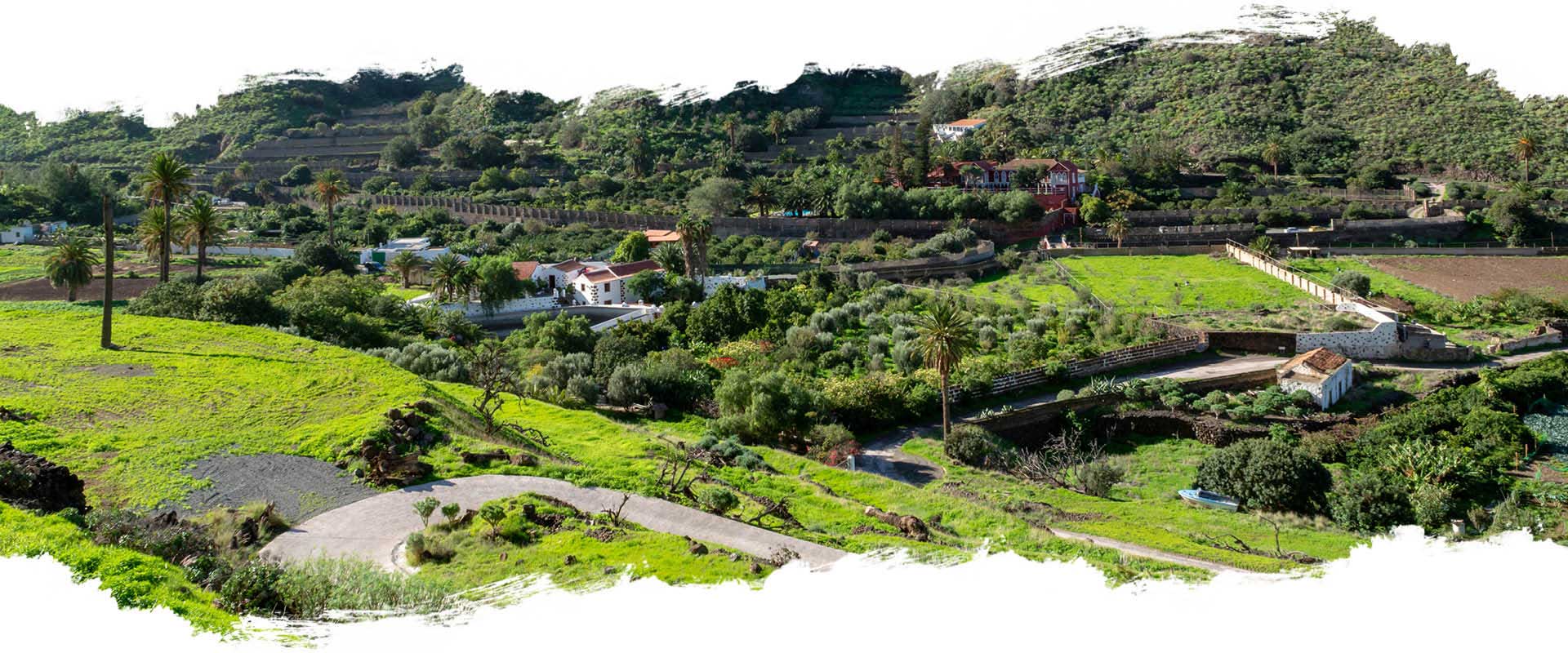 kaffee-reise-gran-canaria-spanien-life-earth-reisen-header Las Palmas - Gran Canaria